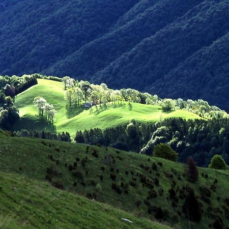 Alano Di Piave B&B Casa Francesca מראה חיצוני תמונה