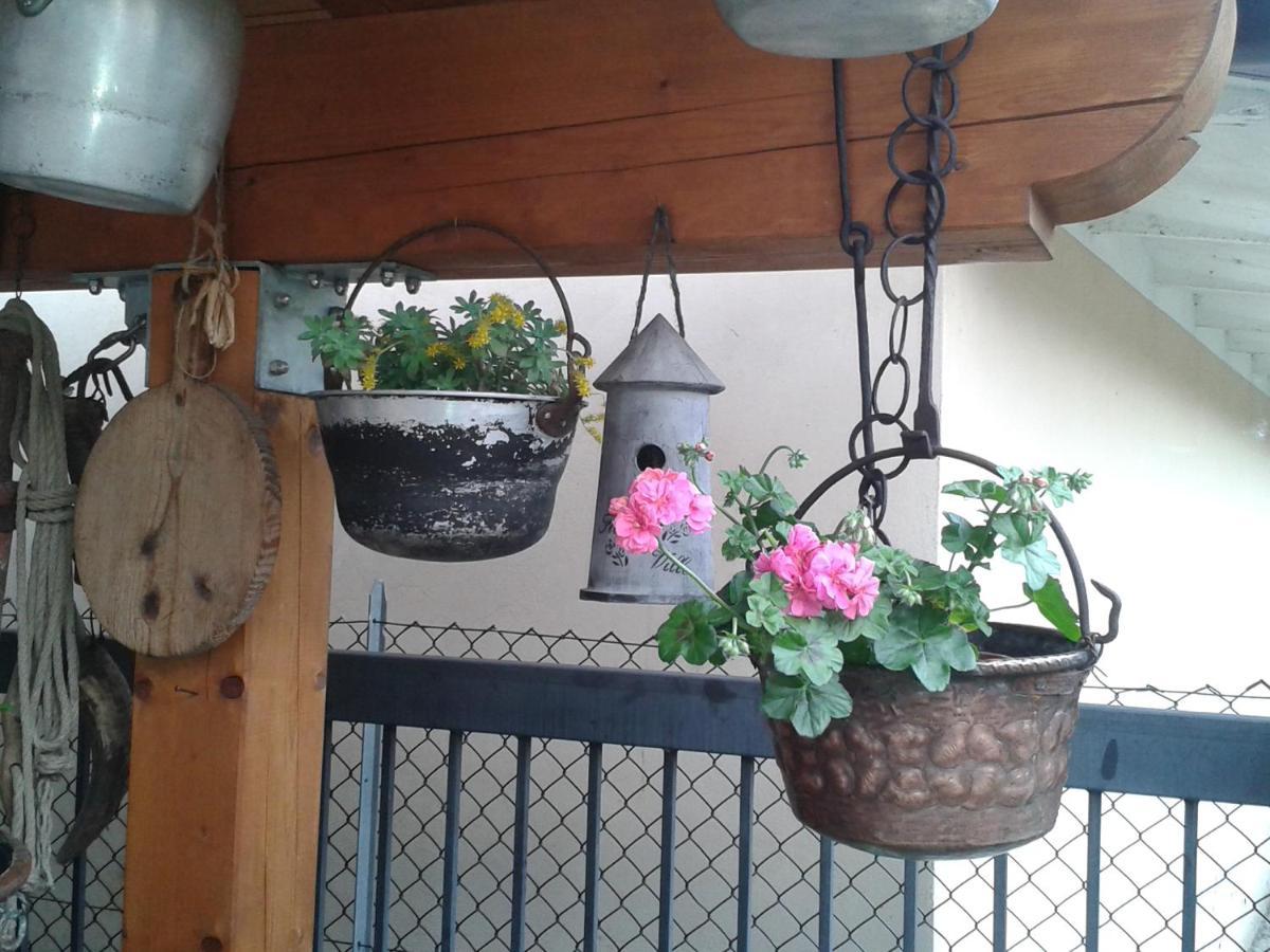 Alano Di Piave B&B Casa Francesca מראה חיצוני תמונה