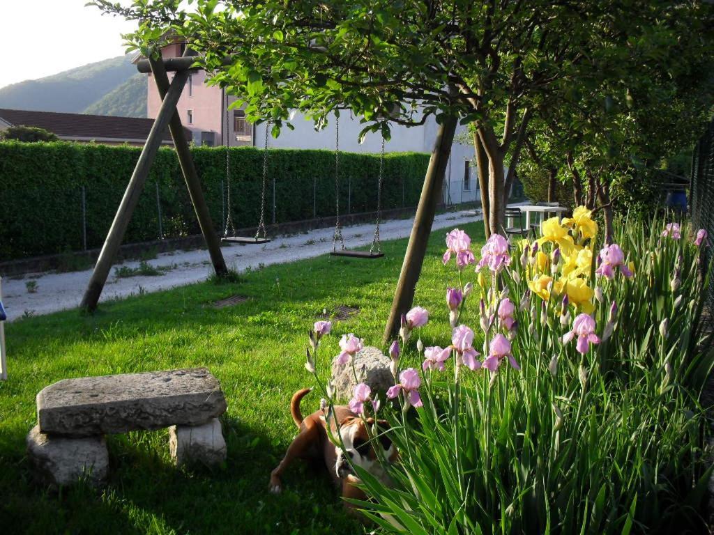 Alano Di Piave B&B Casa Francesca מראה חיצוני תמונה